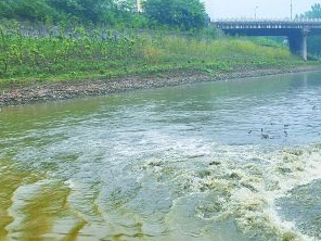 保定莲池区污水清运多少钱